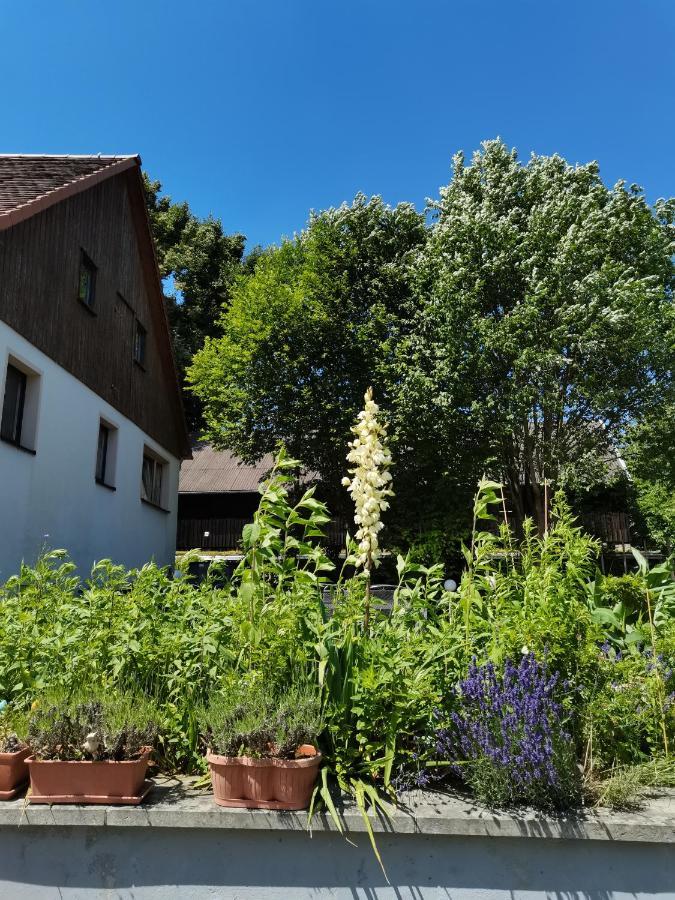 Ferienwohnungen Hering Kleingiesshubel Exteriör bild