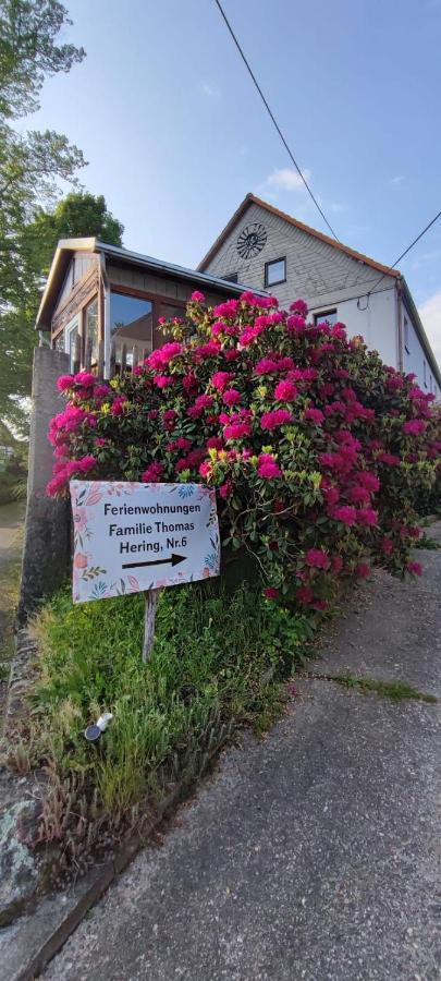 Ferienwohnungen Hering Kleingiesshubel Exteriör bild