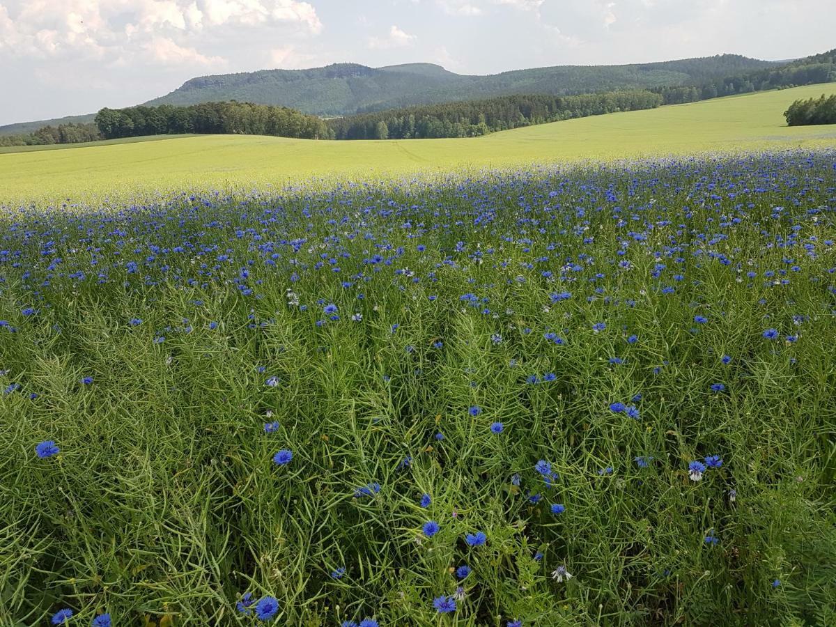 Ferienwohnungen Hering Kleingiesshubel Exteriör bild